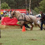 Titanen der Rennbahn 2018