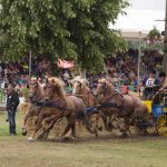 Titanen der Rennbahn 2018