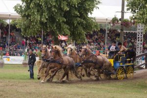 Titanen der Rennbahn 2018