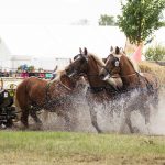 Titanen der Rennbahn 2018