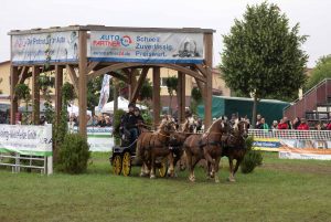 Titanen der Rennbahn 2018