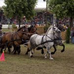 Titanen der Rennbahn 2018