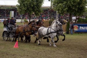 Titanen der Rennbahn 2018