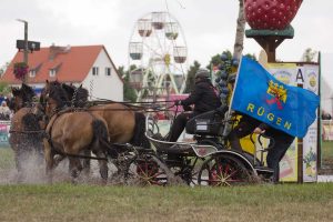 Titanen der Rennbahn 2018