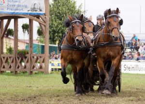 Titanen der Rennbahn 2018