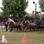 Titanen der Rennbahn 2018