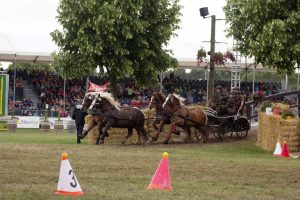 Titanen der Rennbahn 2018