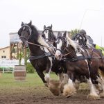 Titanen der Rennbahn 2018