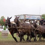 Titanen der Rennbahn 2018