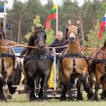 Titanen der Rennbahn 2018