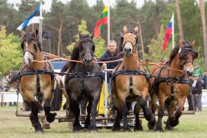 Titanen der Rennbahn 2018
