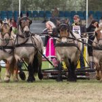 Titanen der Rennbahn 2018