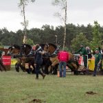 Titanen der Rennbahn 2018