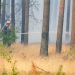 Waldbrand, Brand, Fichtenwalde, Feuerwehr