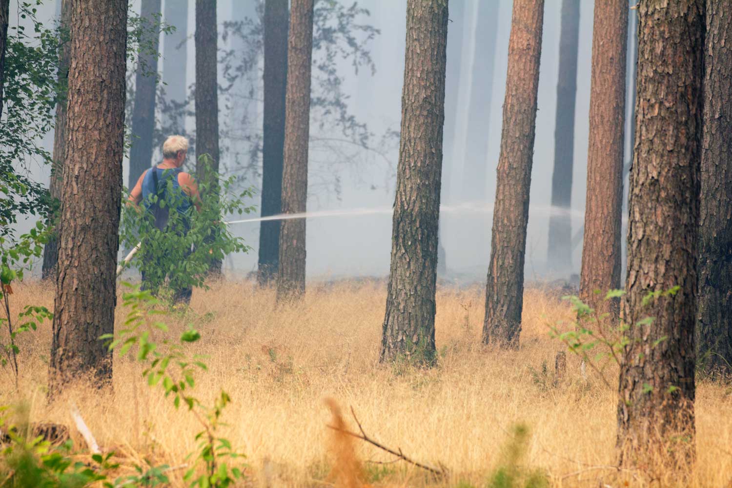 Waldbrand, Brand, Fichtenwalde, Feuerwehr