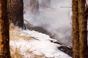 Waldbrand, Fichtenwalde, Feuerwehr