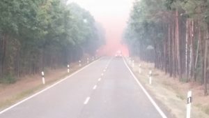 Feuerwehr, Brand, Waldbrand, Treuenbrietzen, Jüterbog, FFW Gömnigk