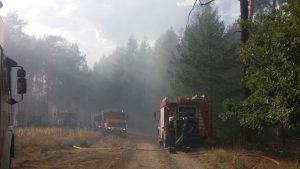 Feuerwehr, Brand, Waldbrand, Treuenbrietzen, Jüterbog, FFW Gömnigk