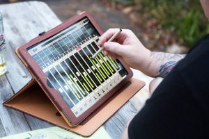 Borkwalde, Middlestreet Music, Biergarten, Konzert, Kulturverein Zauche e.V.