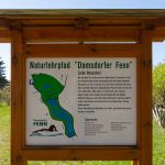 Damsdorf, Damsdorfer Fenn