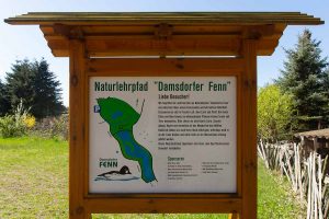 Damsdorf, Damsdorfer Fenn