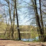 Damsdorf, Damsdorfer Fenn