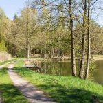 Damsdorf, Damsdorfer Fenn