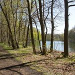Damsdorf, Damsdorfer Fenn