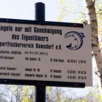 Damsdorf, Damsdorfer Fenn