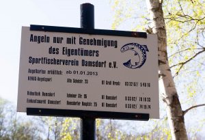 Damsdorf, Damsdorfer Fenn
