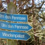 Damsdorf, Damsdorfer Fenn