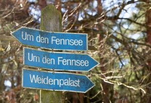 Damsdorf, Damsdorfer Fenn