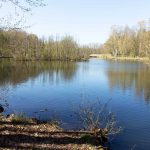 Damsdorf, Damsdorfer Fenn