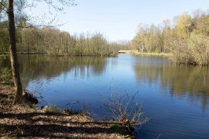 Damsdorf, Damsdorfer Fenn