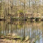Damsdorf, Damsdorfer Fenn