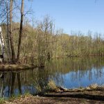 Damsdorf, Damsdorfer Fenn