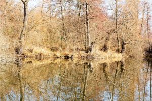 Deetzer Erdlöcher, Deetz, Groß Kreutz (Havel), Tongruben