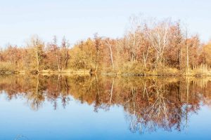 Deetzer Erdlöcher, Deetz, Groß Kreutz (Havel), Tongruben