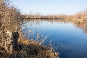 Deetzer Erdlöcher, Deetz, Groß Kreutz (Havel), Tongruben