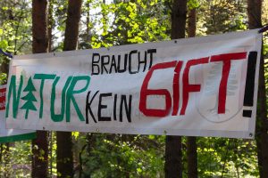 Fichtenwalde, Borkwalde, Borkheide, Karate Forst flüssig, Blauer Robur, Waldumbau