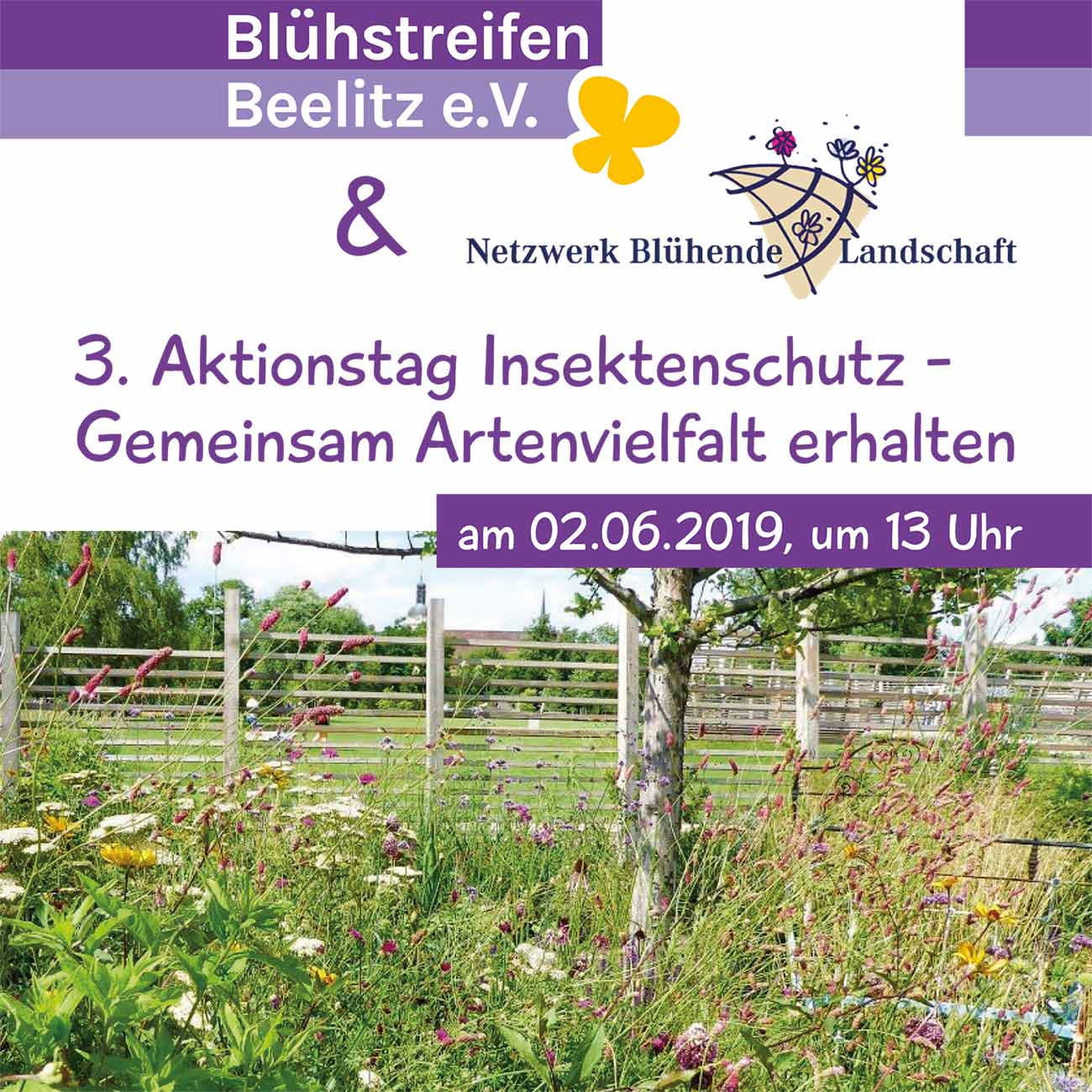 Aktionstag Insektenschutz, Glau, Blühstreifen, Blühstreifen Beelitz