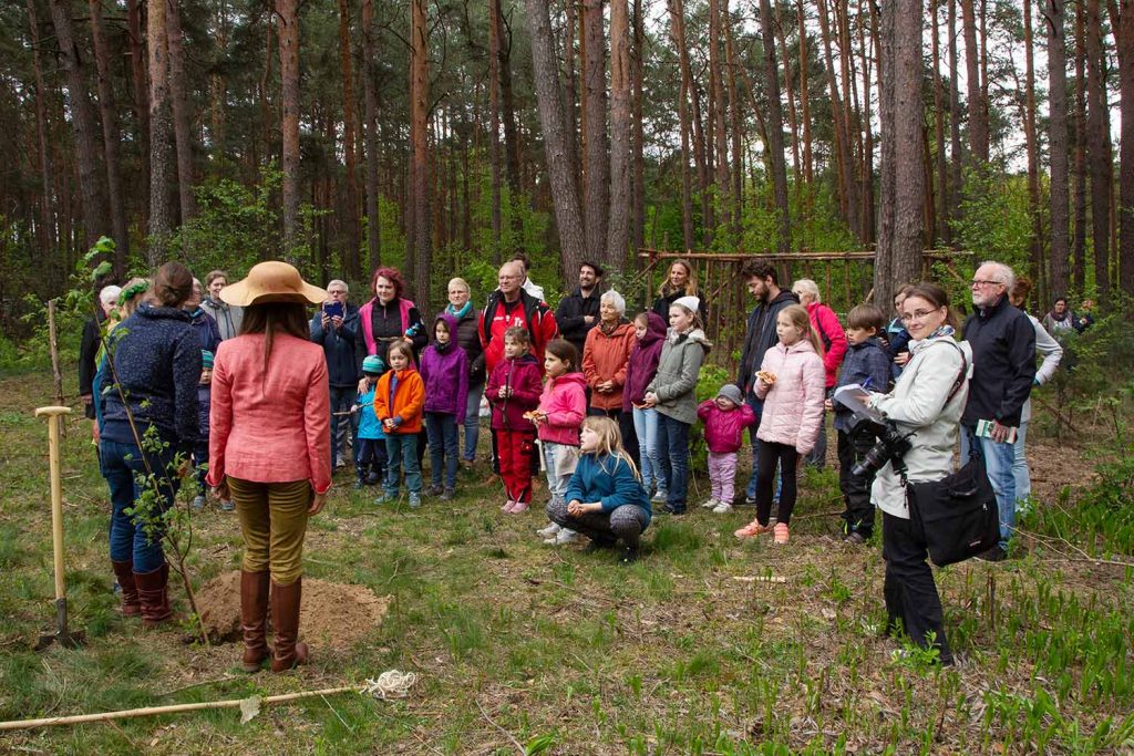 Borkwalde, Flatter-Ulme, Baum des Jahres, Baumkönigin, Caroline Hensel, Baumprinzessin, Tipidorf, Kulturverein Zauche