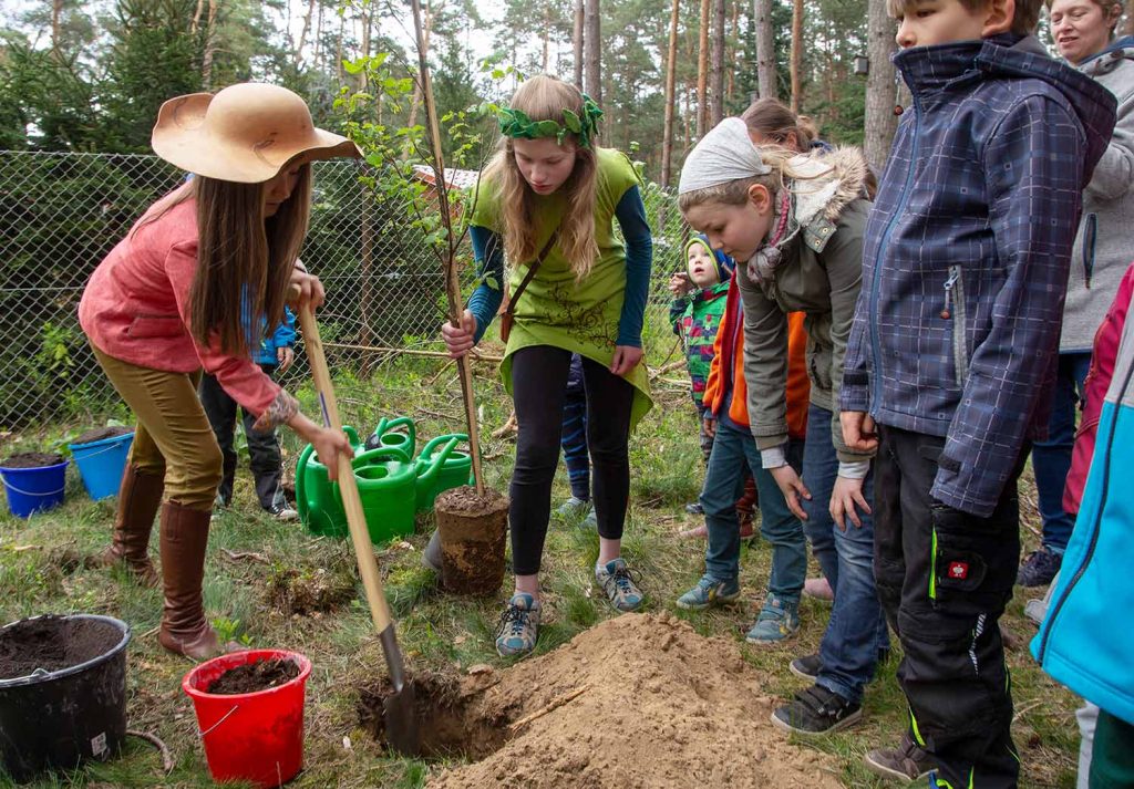 Borkwalde, Flatter-Ulme, Baum des Jahres, Baumkönigin, Caroline Hensel, Baumprinzessin, Tipidorf, Kulturverein Zauche