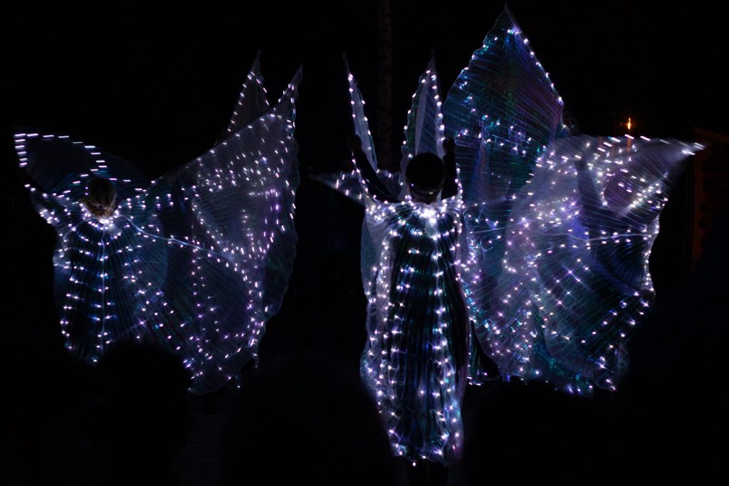 Fireflies, Borkheide
