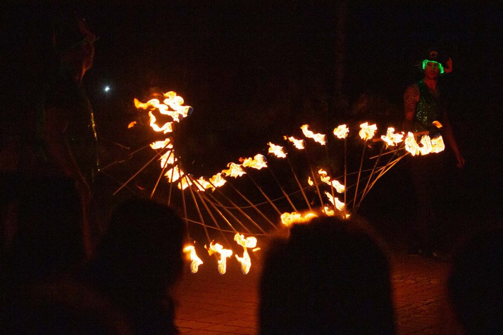 Fireflies, Borkheide