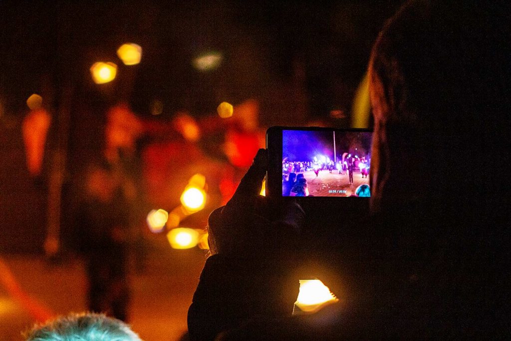 Fireflies, Borkheide