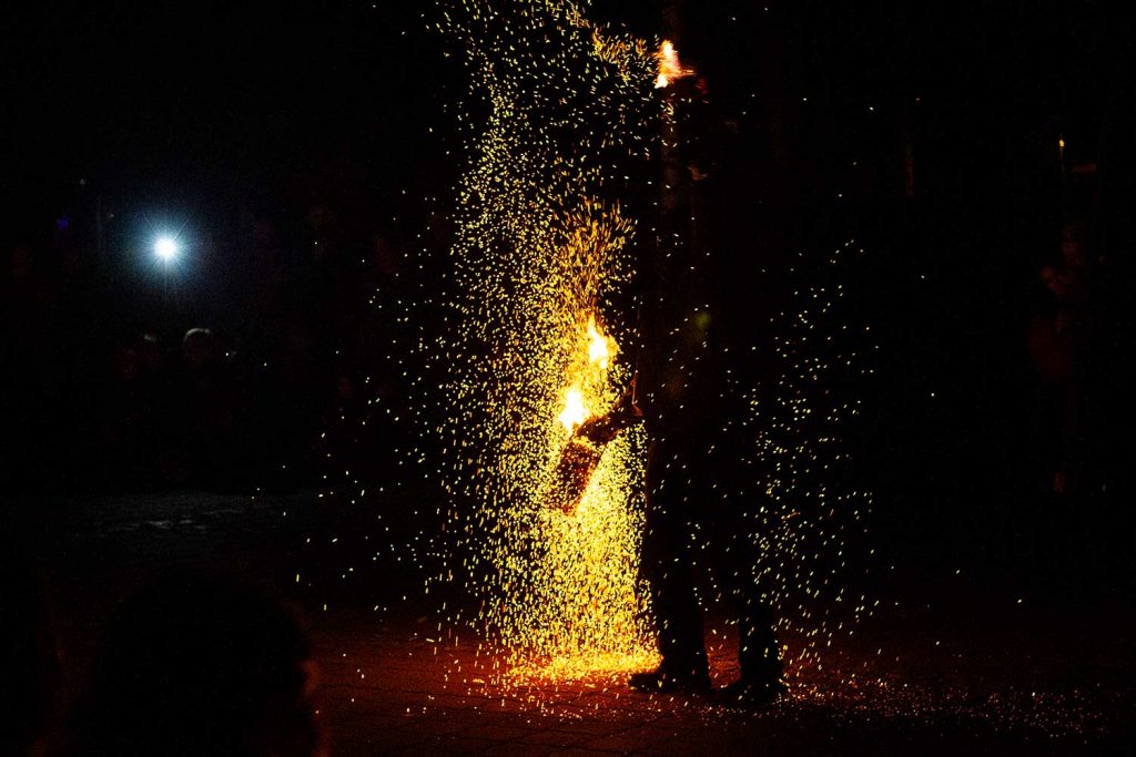 Fireflies, Borkheide