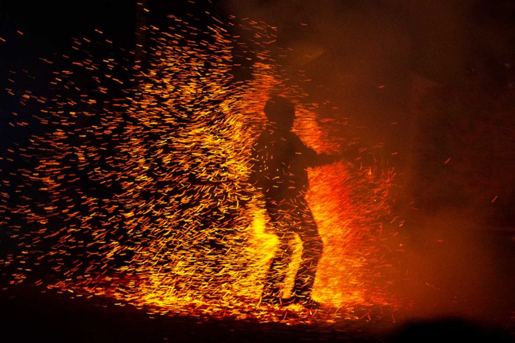 Fireflies, Borkheide