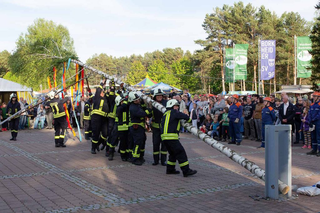 Maibaum, Borkheide