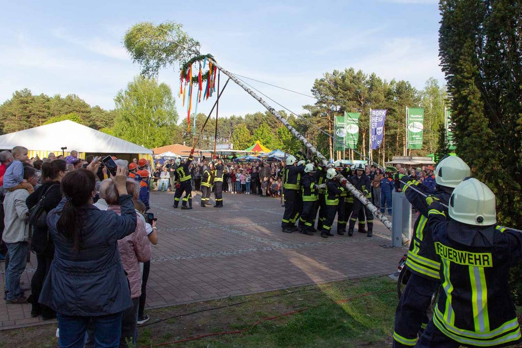 Maibaum, Borkheide